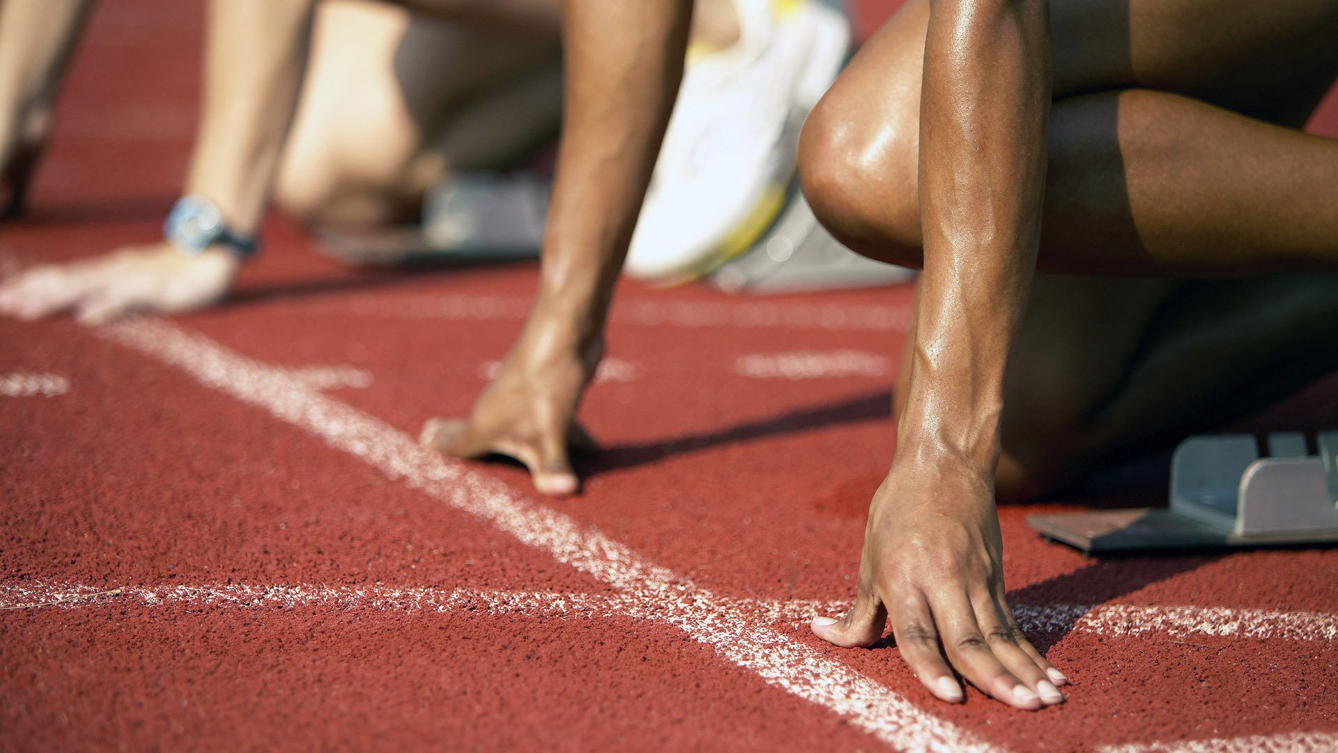 世界拳击赛事多场焦点战引发关注，世界拳击表演赛